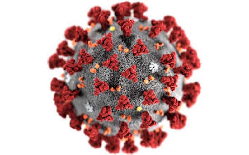 Disposizioni relative al Coronavirus